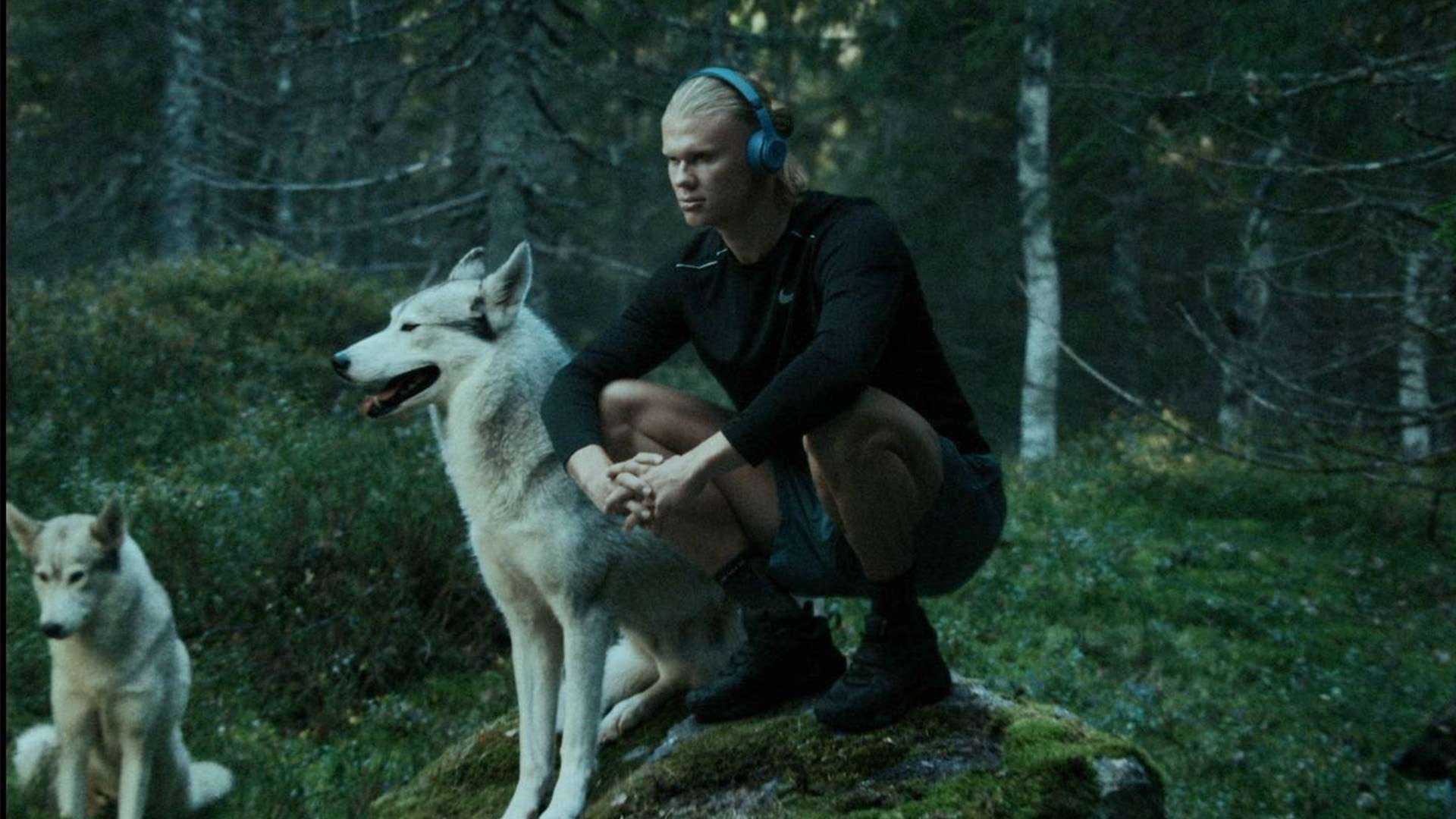 现也不断提 现也不断提